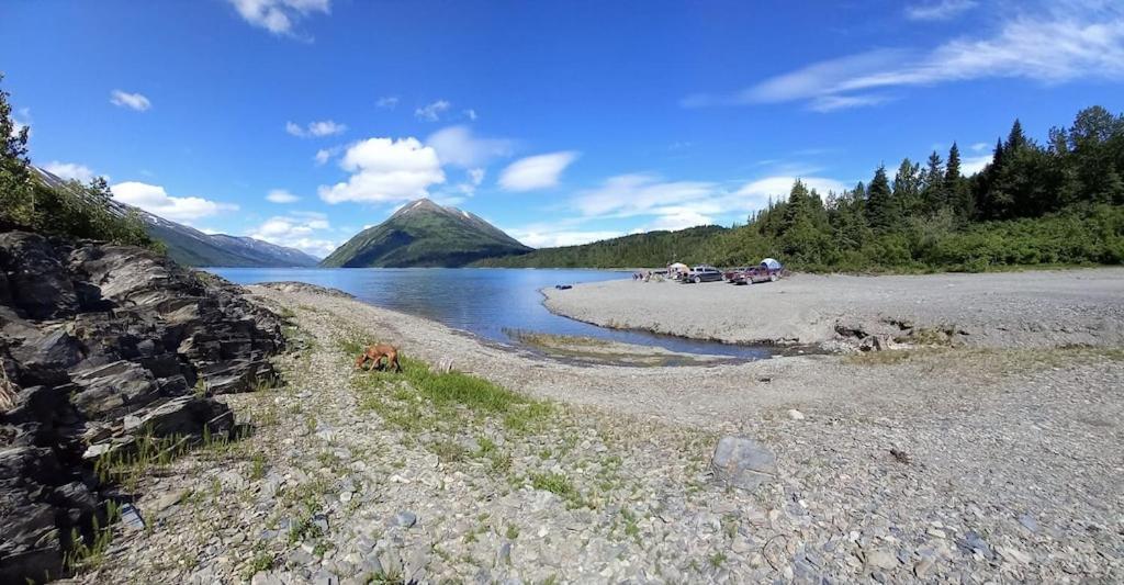 Oyster Lady Homer, Ak Dış mekan fotoğraf