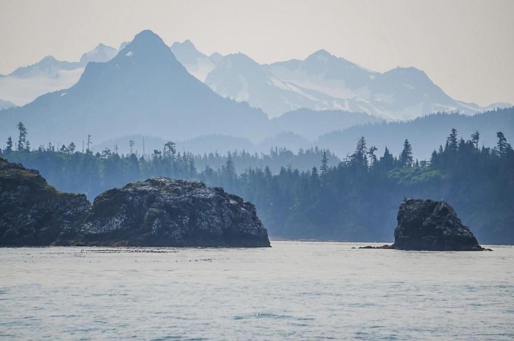 Oyster Lady Homer, Ak Dış mekan fotoğraf