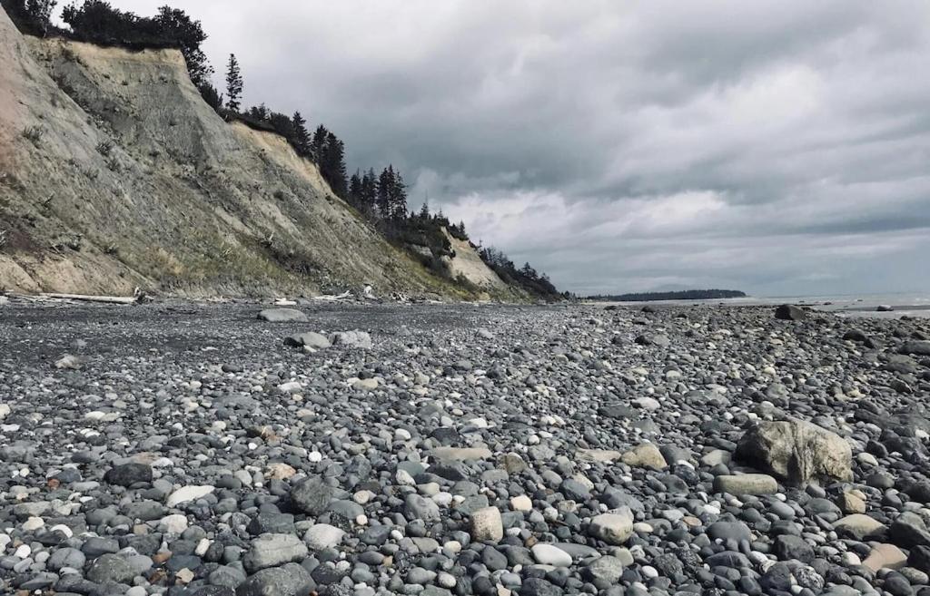 Oyster Lady Homer, Ak Dış mekan fotoğraf